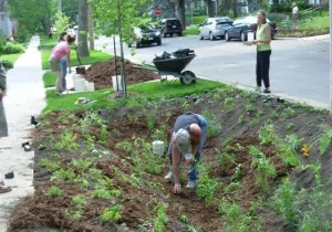 Planting2