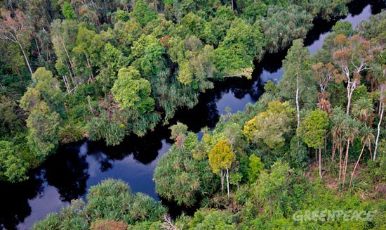 peatland